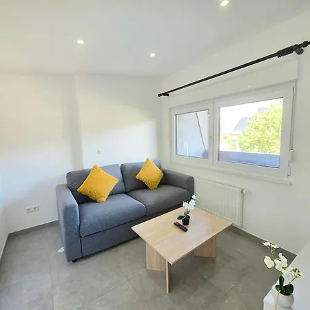 Appartement Charming With A Terrace In Differdange